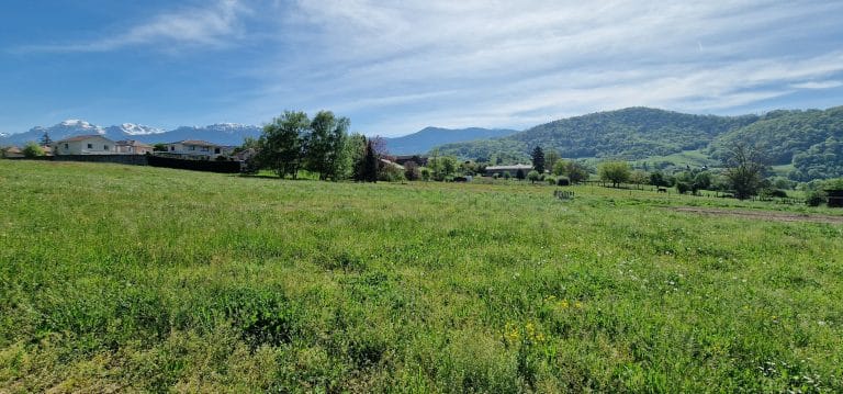 Domaine-Marius-2